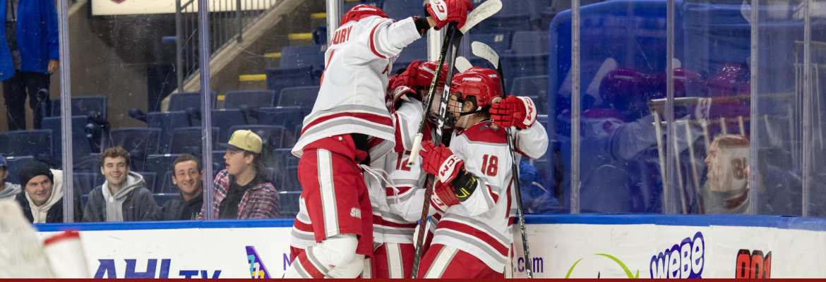 Hockey Goal