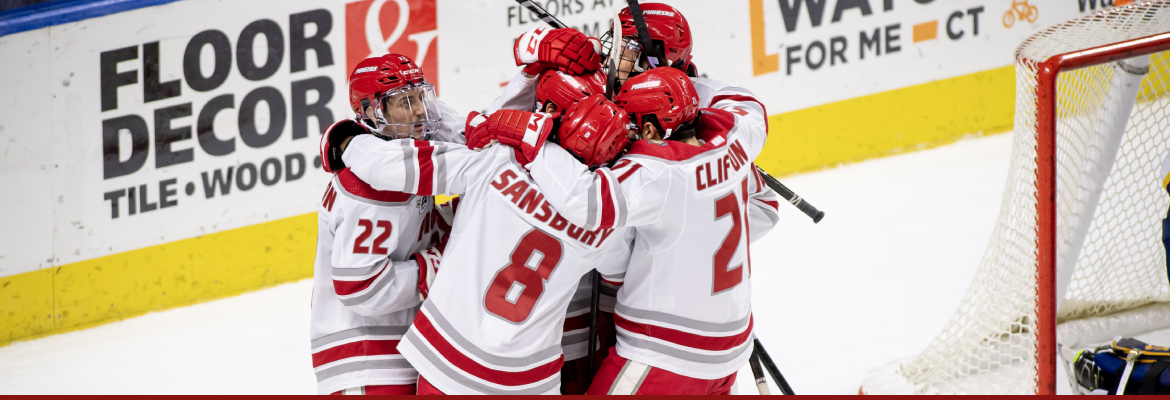 Hockey Celebration