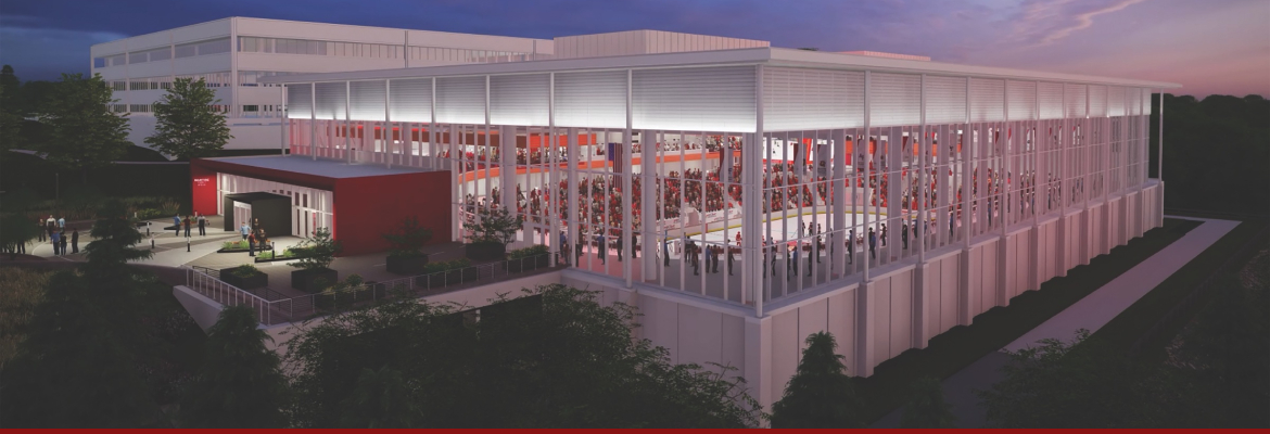 Arena